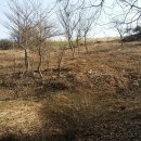 임실반디울농장 이미지