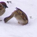 더손