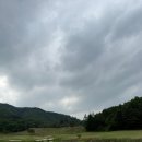 코스가 예쁜 골프장 맛집 옥스필드cc 옥다방 포토존 후기