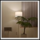 데일리 요가 | 요가 왕초보 입문 고민 끝 세종 다정동 데일리요가&amp;스트레칭 첫 체험 후기