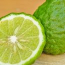 BERGAMOT(베르가못)
