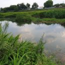 왕숙천 자전거도로7 이미지