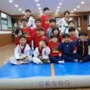 국가대표 코리아태권도장 이미지