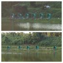 삼괴정낚시터 이미지