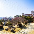 (주)건축사사무소 아라가야 이미지