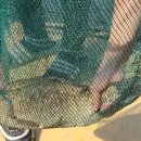 울성1로 이미지