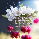 관계의 역설, AI 시대의 관계와 소통법! 이미지