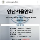 시흥서울안과의원 티스토리