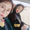 다솜투어 이미지