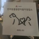 세레니타 | 강릉 분위기 좋은 강릉 양식집, 애견동반 가능한 세레니타 방문 후기