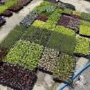 한일농약사 이미지