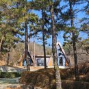 주)다담리테일송정점 | [공지] [ ​대구 근교 아이와 가볼만한 곳 ] 칠곡 송정자연휴양림 숲속의집(영산홍) 숙소·바베큐·다자녀...