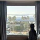 한라산콘도미니엄 | 제주 서귀포 켄싱턴리조트 프리미어 마운틴 룸 후기