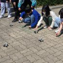 율목초등학교 이미지