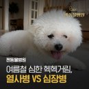 젠동물병원