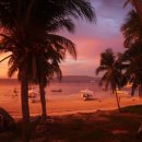 캐슬비치 이미지