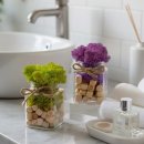 공기좋은집 | 공기 답답한 집에 두기 좋은 스칸디아모스 천연 이끼 화분 공기정화식물 솔직 후기 3가지