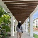 콜세탁 | 오키나와 대가족여행 북부 풀빌라 추천 코우리지마 바이 콜디오