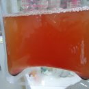 와이즈24시 동물병원 이미지