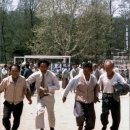 일봉초등학교 이미지