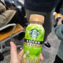 신현동 산147-3 | "여기서 떨어지면 끝이다" 차마고도 트레킹 실제 후기 + 리장 야경