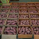 승주농산 이미지