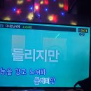 범상치않은범 이미지