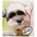 벤지동물병원 이미지