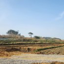 농기계 임대사업소 본점 | 영암군 농기계 임대 동부사업소 9월 운영 목표