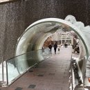 주식회사 우리홀푸드마트 | 첫째날 _1 / JF케네디공항 MPC안됨/하얏트리젠시 타임스퀘어/록펠러센터/탑오브더락/홀푸드마켓 장보기