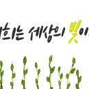 세상의빛 이미지