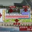 롯데몰 앞 횡단보도1 이미지