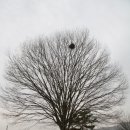 금지중학교 이미지