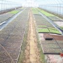 재준농장 이미지