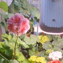 방실농장 이미지