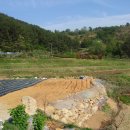 관호농장 이미지