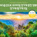 장가계 티스토리