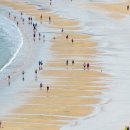 대정에너지 이미지