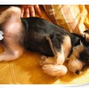 스피드인터넷 이미지