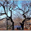 은평-006 이미지