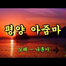 배아현.나훈아 - 평양 아줌마 이미지