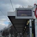 궁전예가 | ep.2 겨울 오스트리아 비엔나 여행/크리스마스 여행/동유럽여행