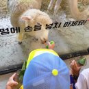 수달앤쥬