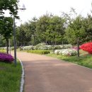 서호꽃뫼(2) 이미지