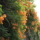 인화여자고등학교 이미지