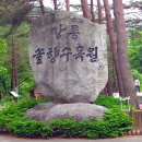 솔향수목원(솔숲광장) 이미지