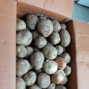 다은농장 이미지