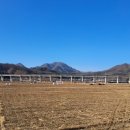 새술막길 이미지