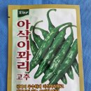 덜매운 꽈리고추 씨앗 나눔합니다 이미지