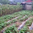 초평부동산중개사무소 이미지